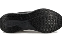 Nike Pegasus EasyOn