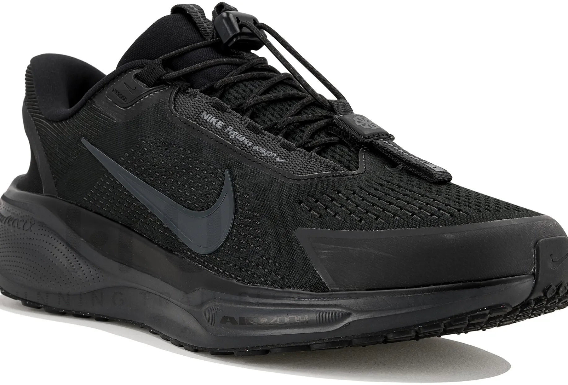 Nike Pegasus EasyOn