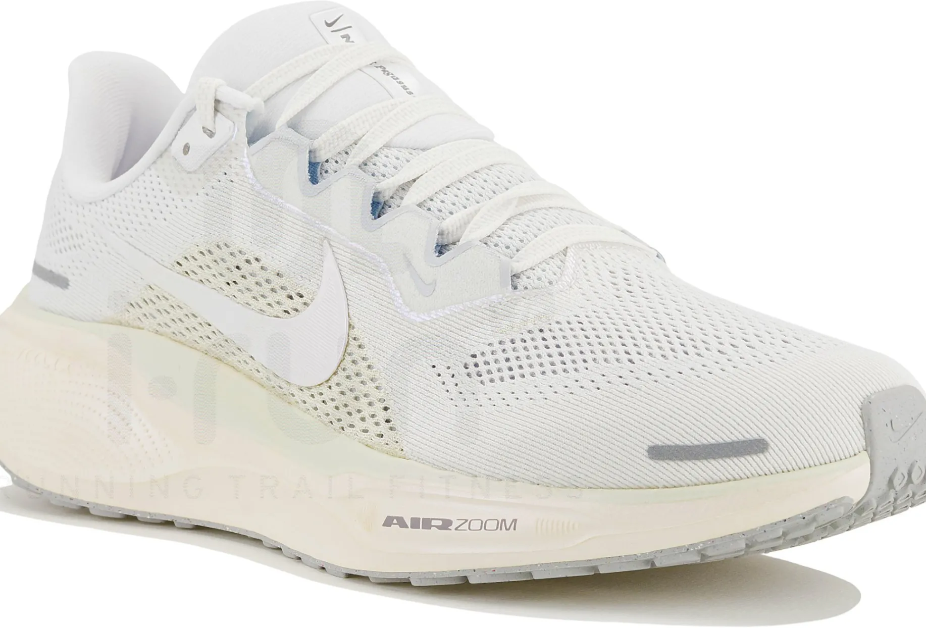 Nike Pegasus 41 ESS