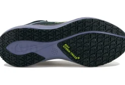 Nike Pegasus 41 Gore-Tex