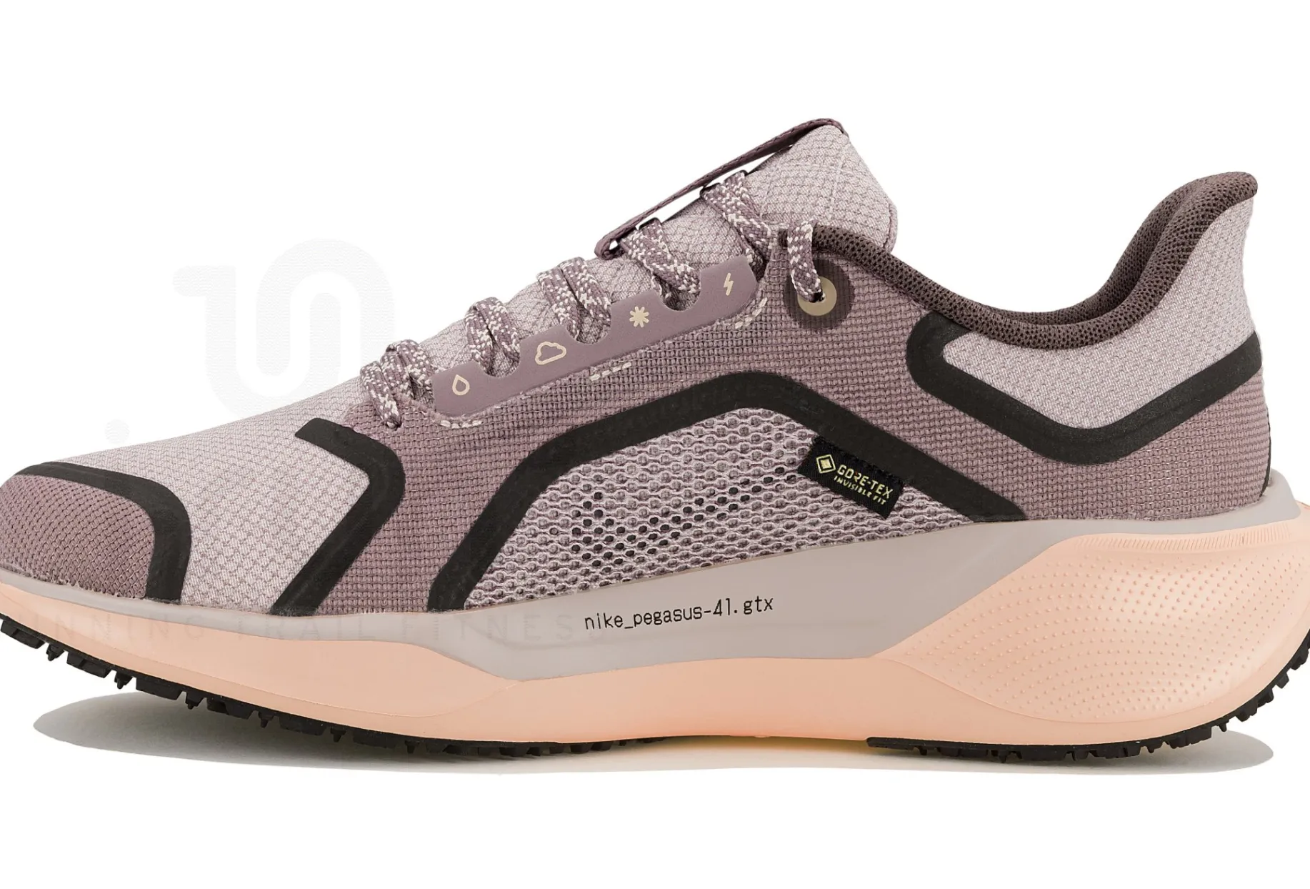 Nike Pegasus 41 Gore-Tex