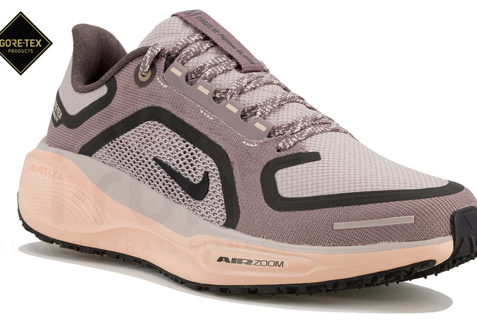 Nike Pegasus 41 Gore-Tex