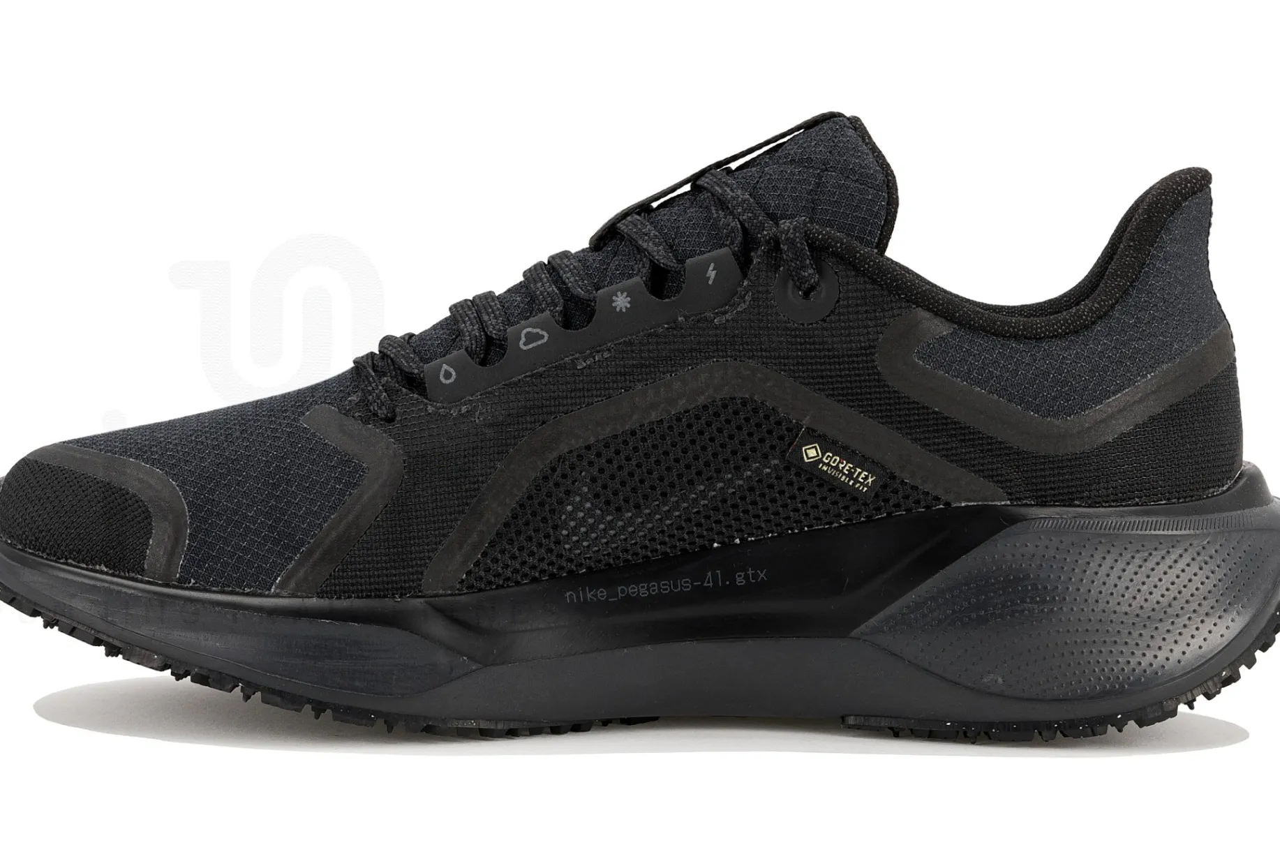 Nike Pegasus 41 Gore-Tex
