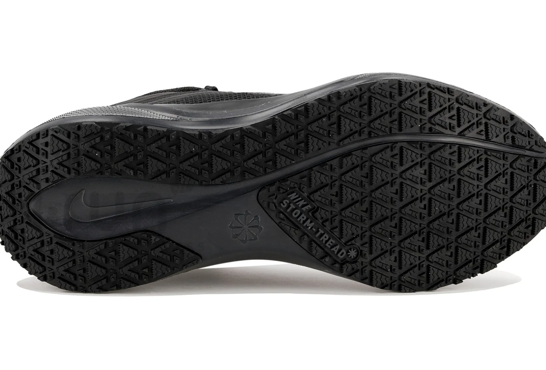 Nike Pegasus 41 Gore-Tex