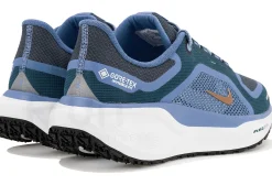 Nike Pegasus 41 Gore-Tex