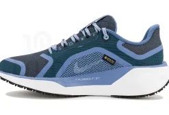 Nike Pegasus 41 Gore-Tex