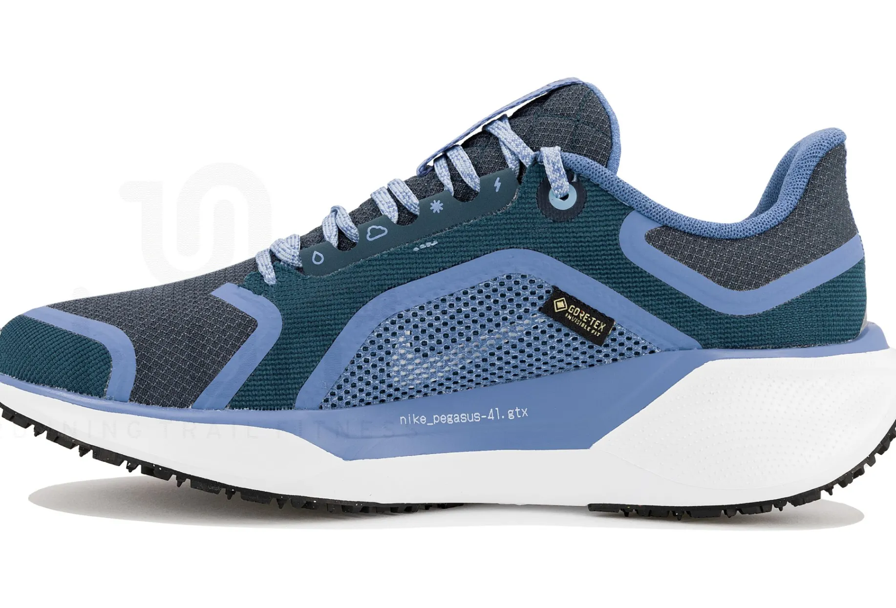 Nike Pegasus 41 Gore-Tex