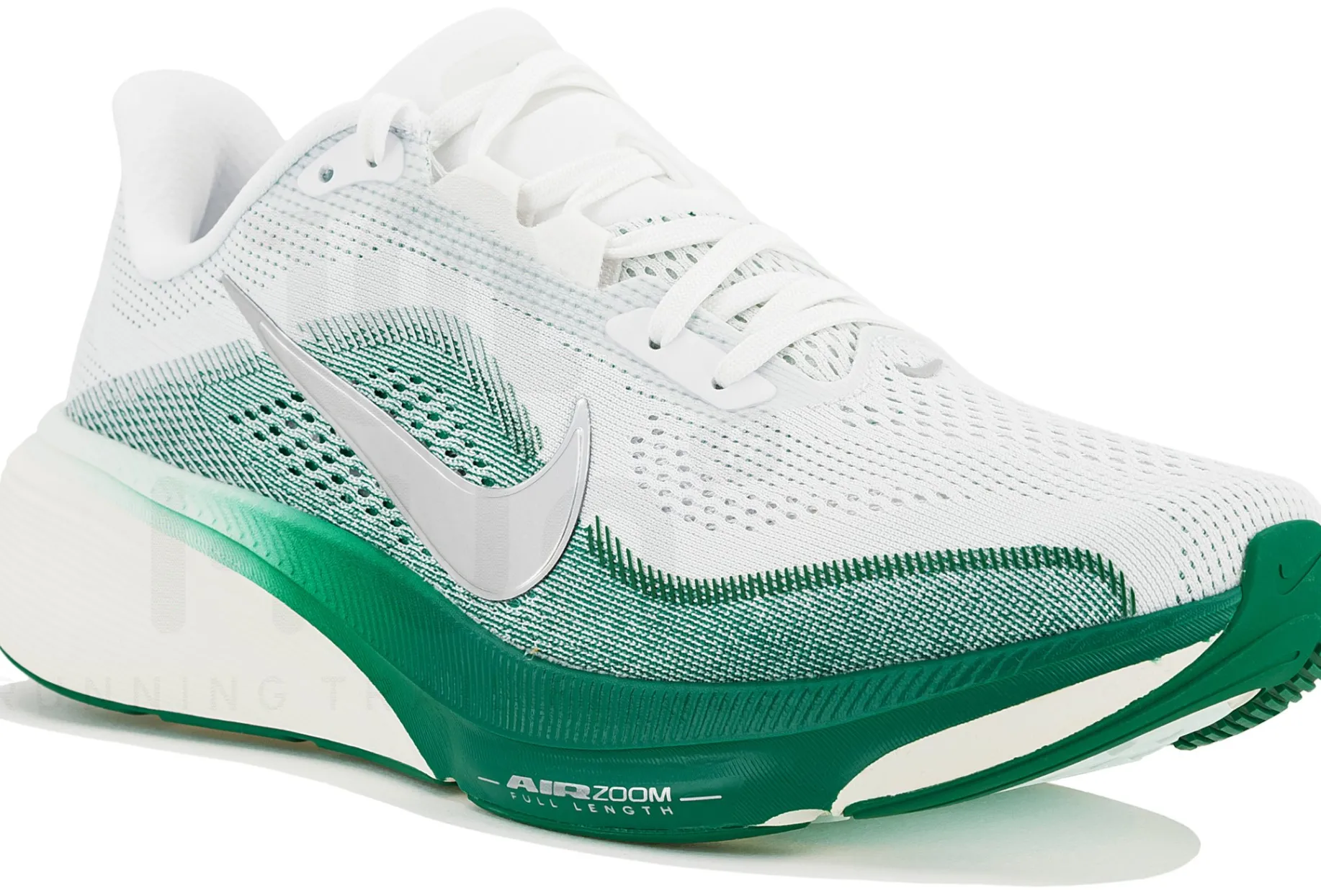 Nike Pegasus 42 Match-A-Mile