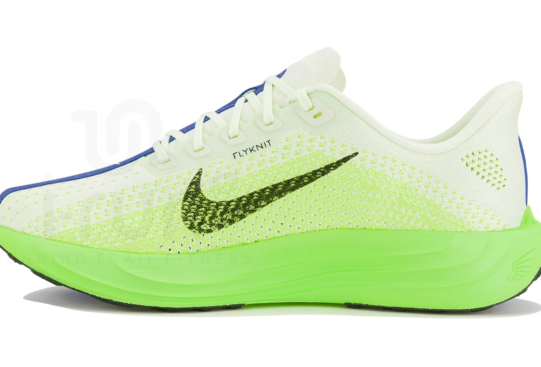 Nike Pegasus Plus