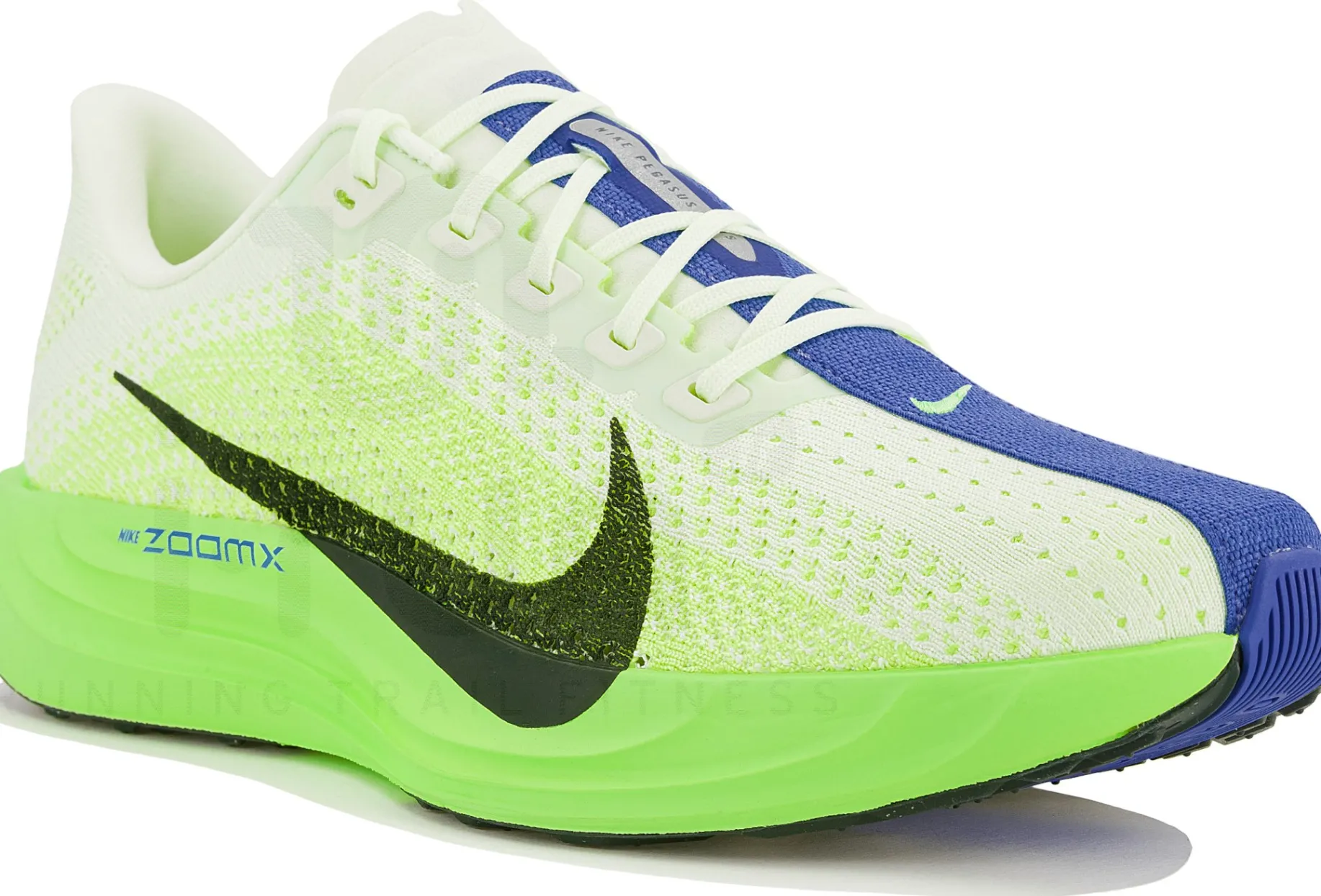 Nike Pegasus Plus