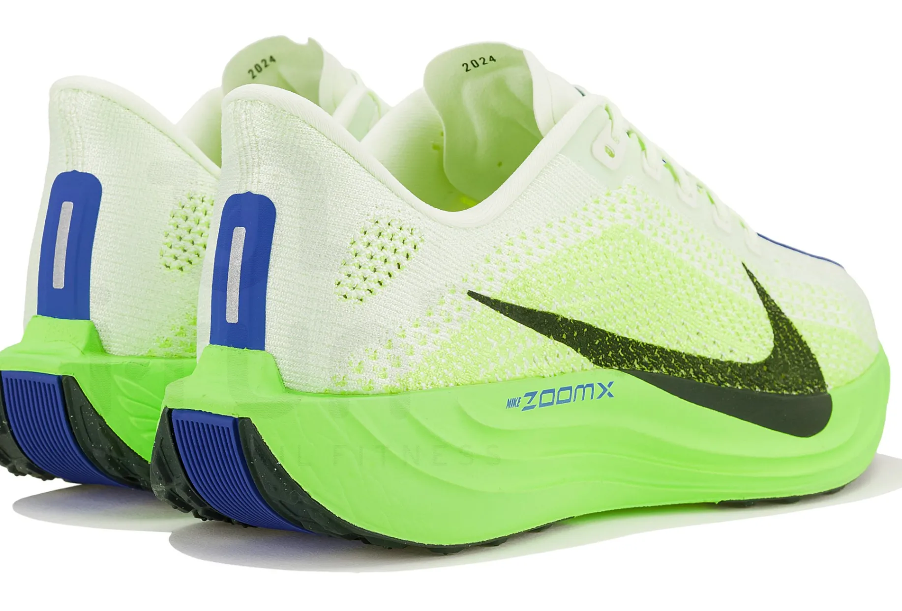 Nike Pegasus Plus