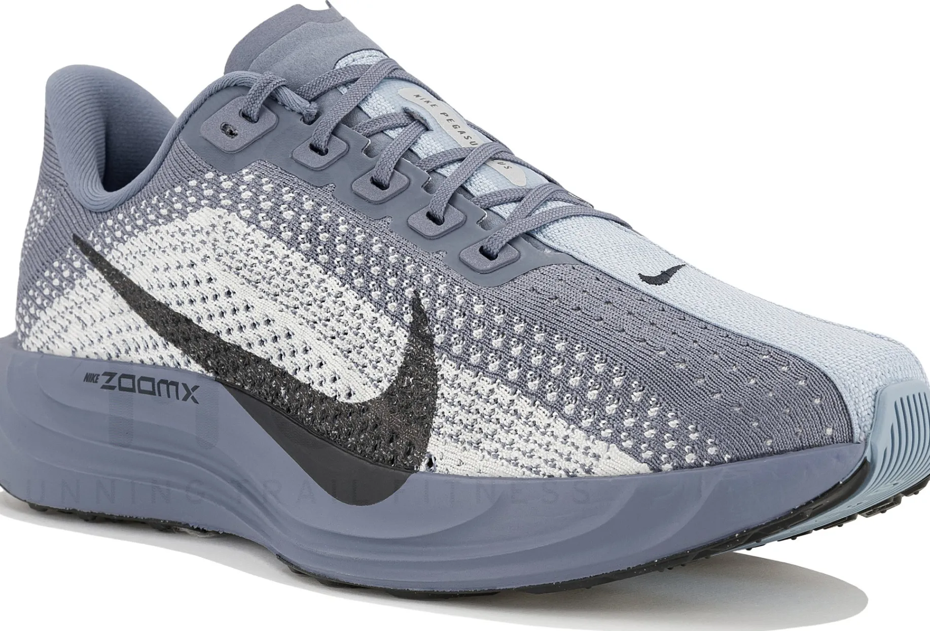 Nike Pegasus Plus