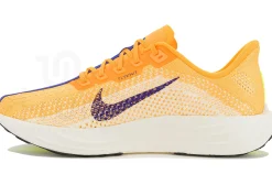 Nike Pegasus Plus