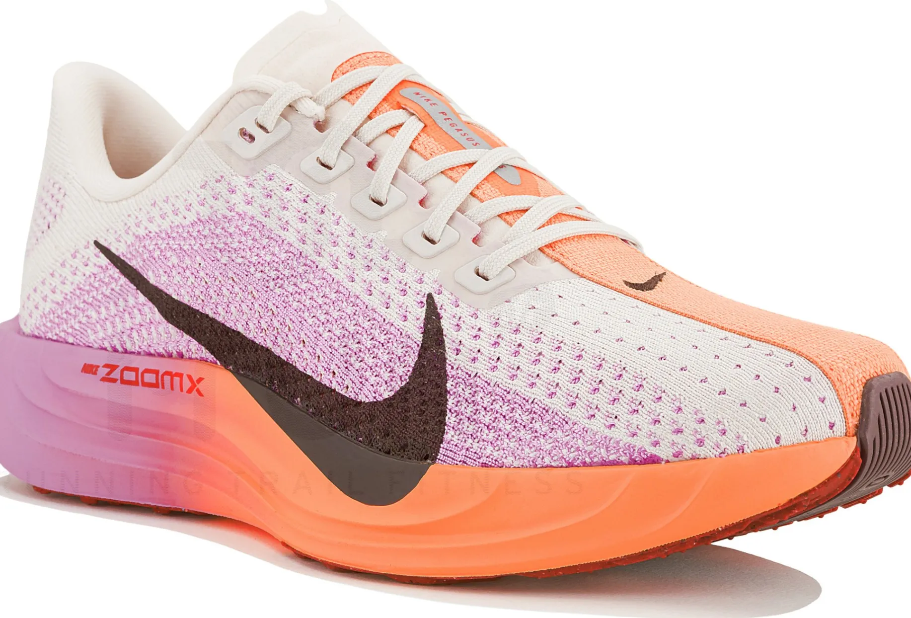 Nike Pegasus Plus