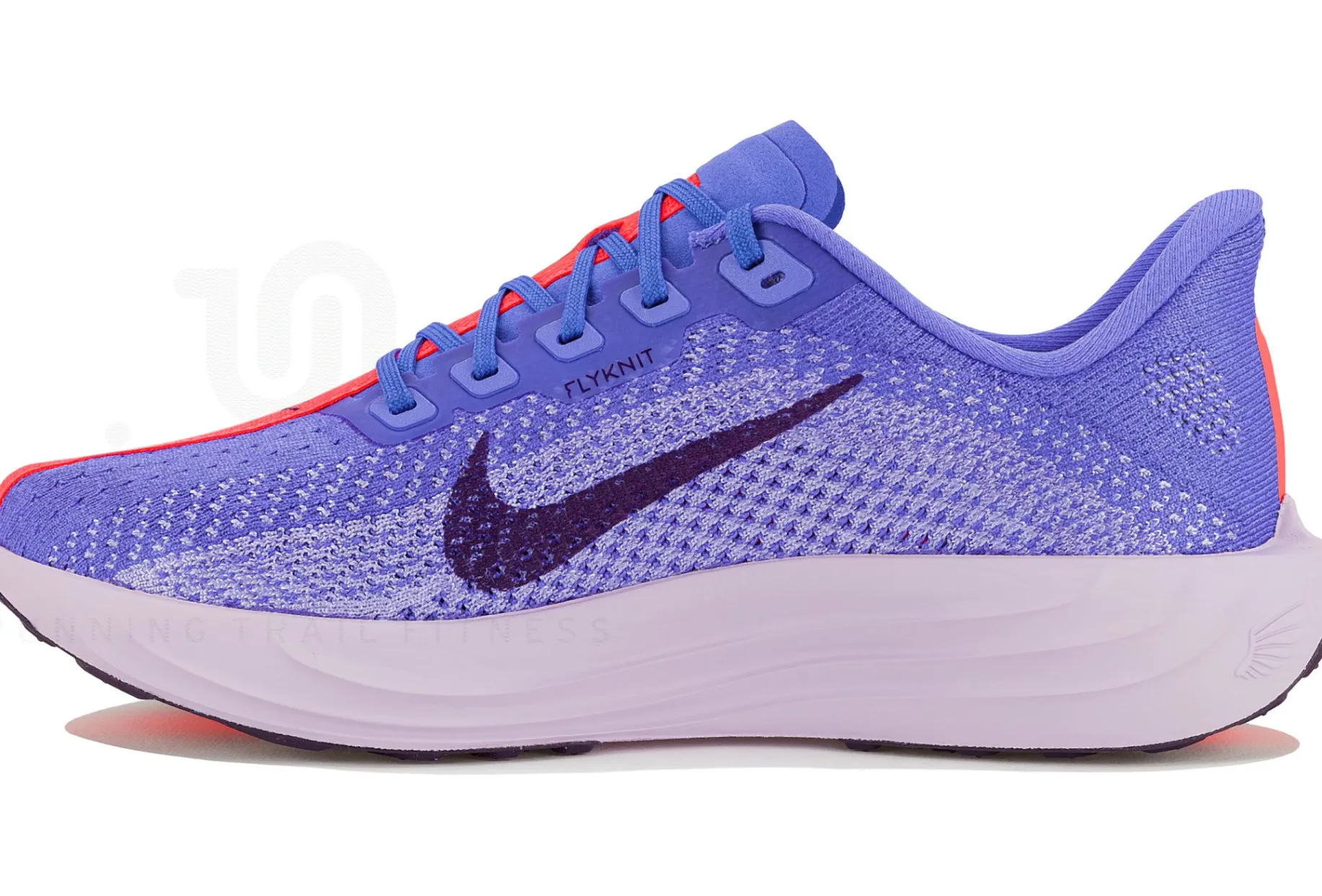 Nike Pegasus Plus
