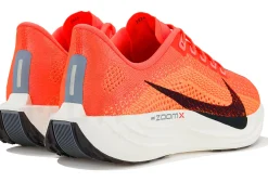 Nike Pegasus Plus