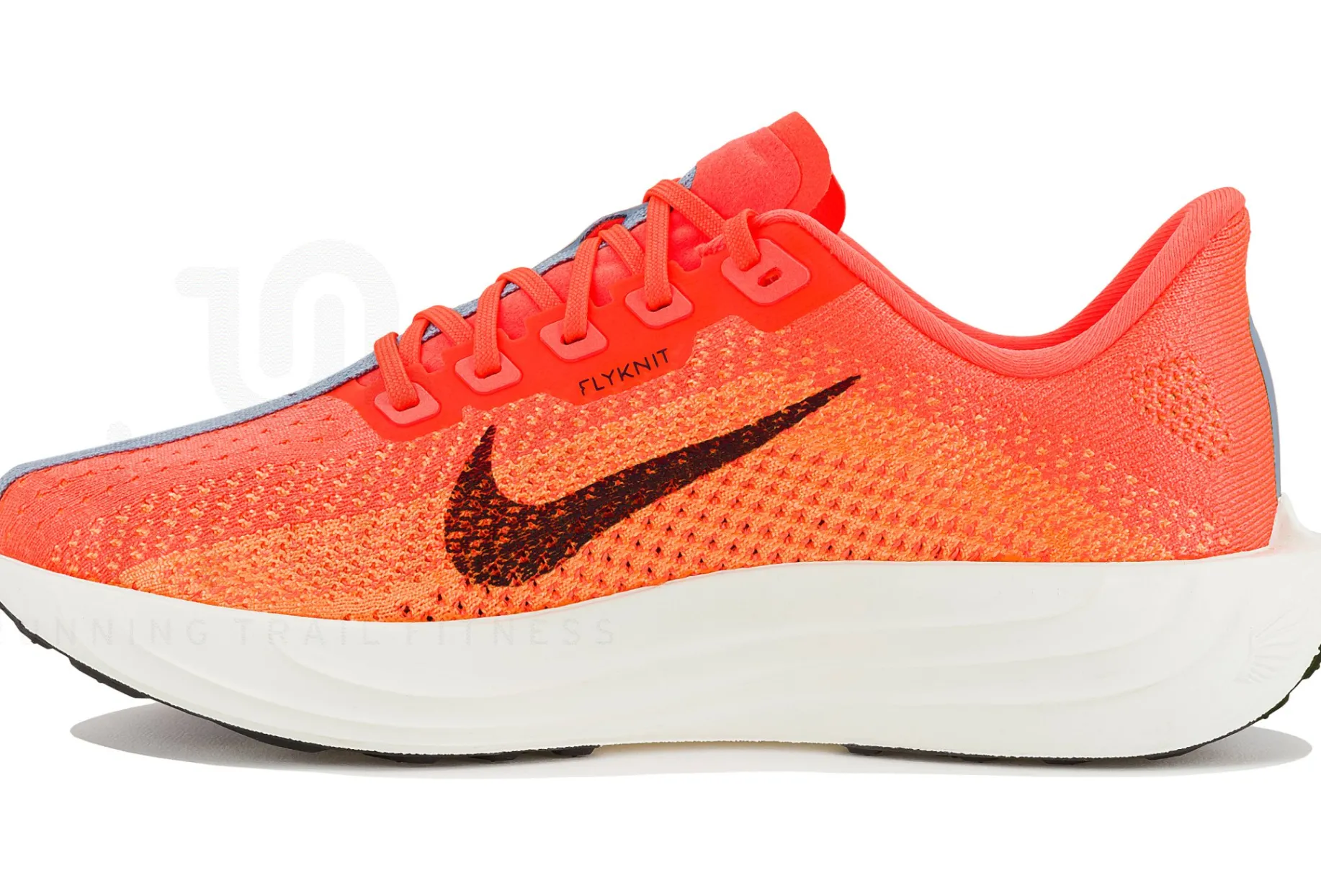 Nike Pegasus Plus