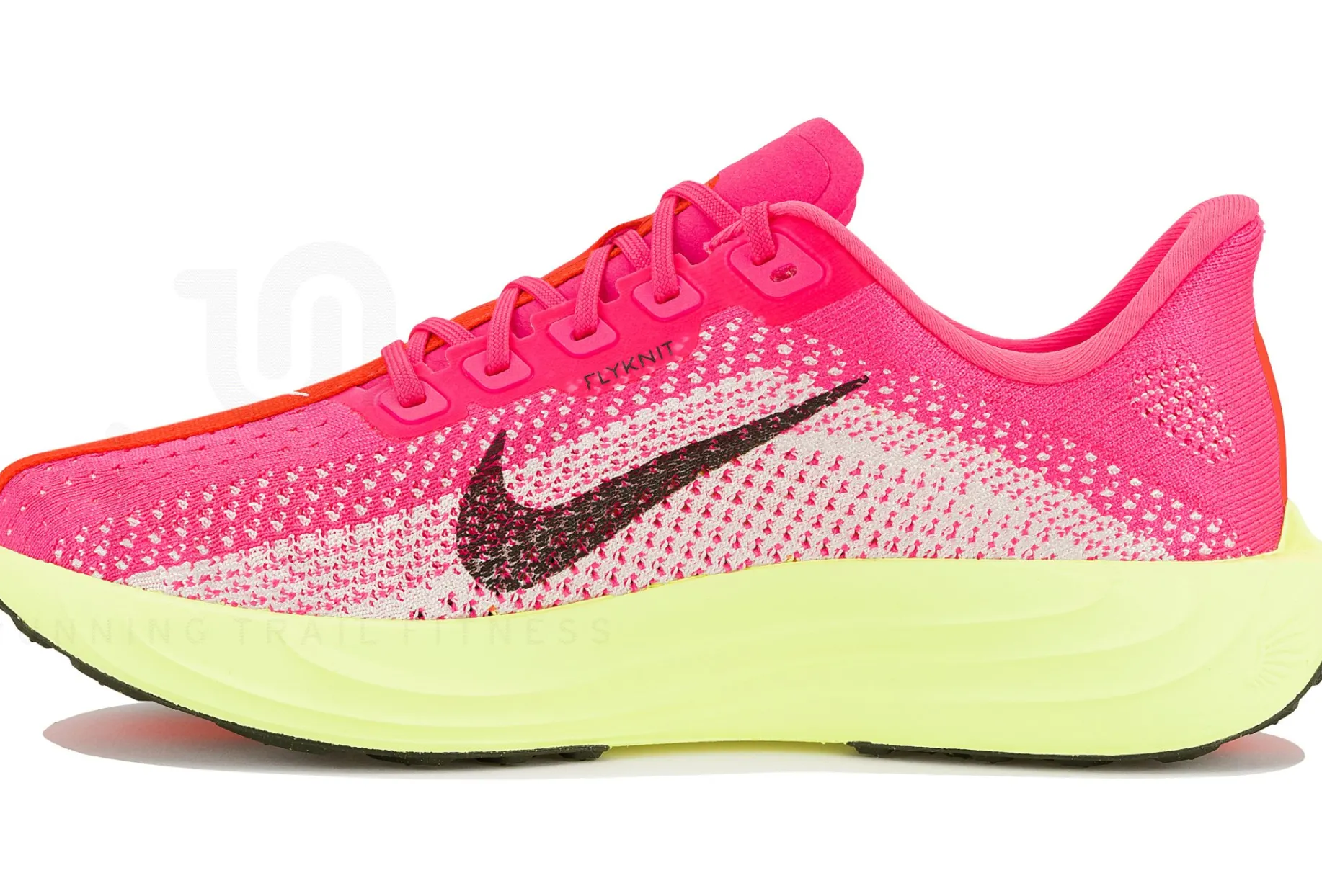Nike Pegasus Plus