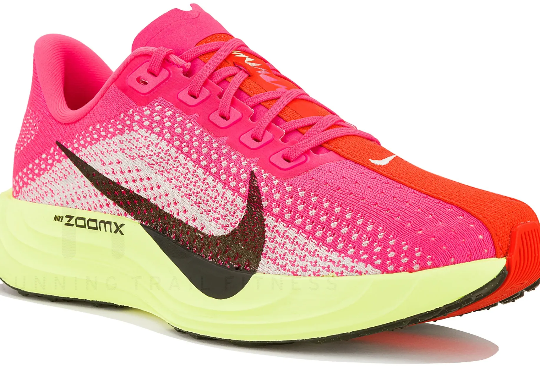 Nike Pegasus Plus