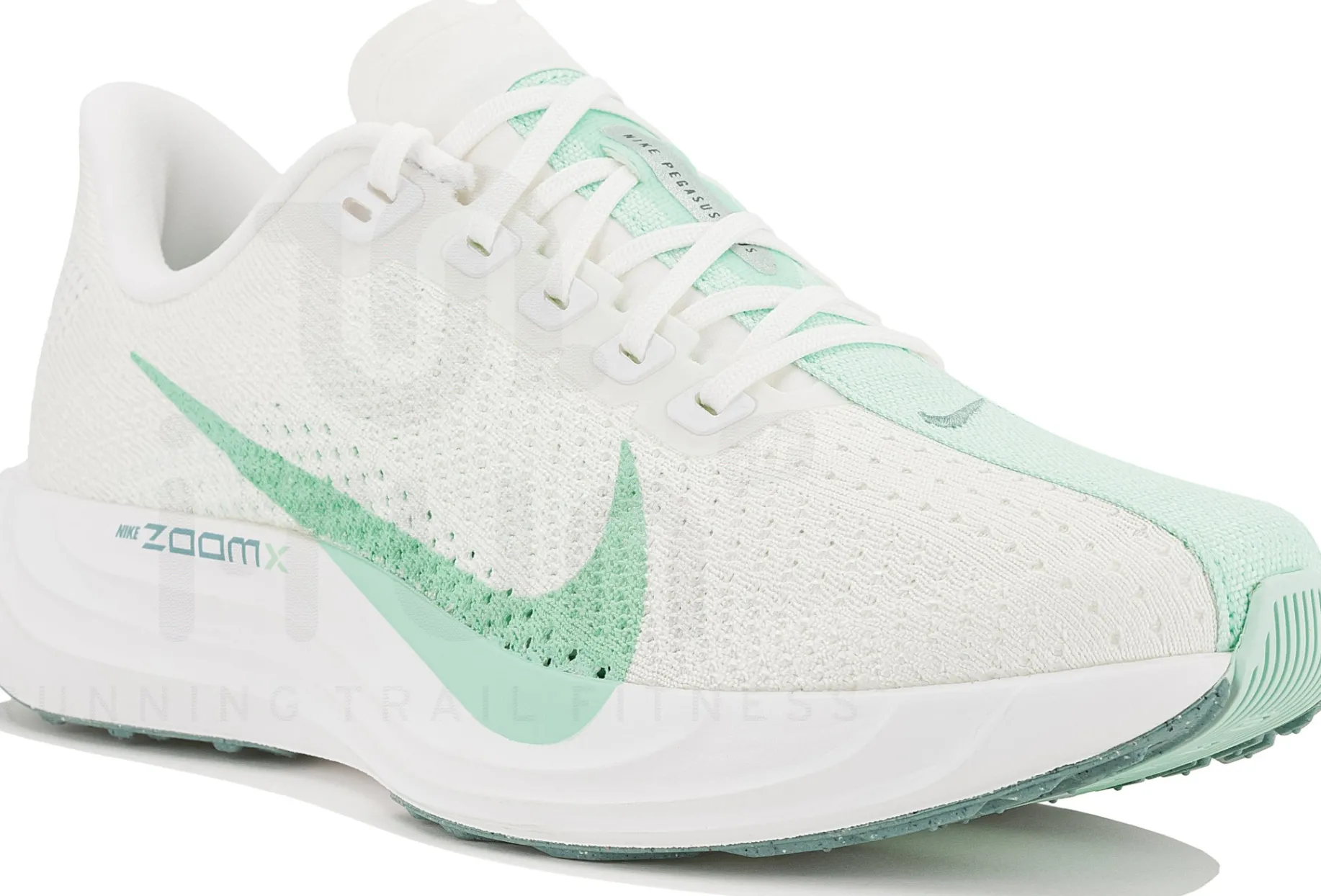 Nike Pegasus Plus
