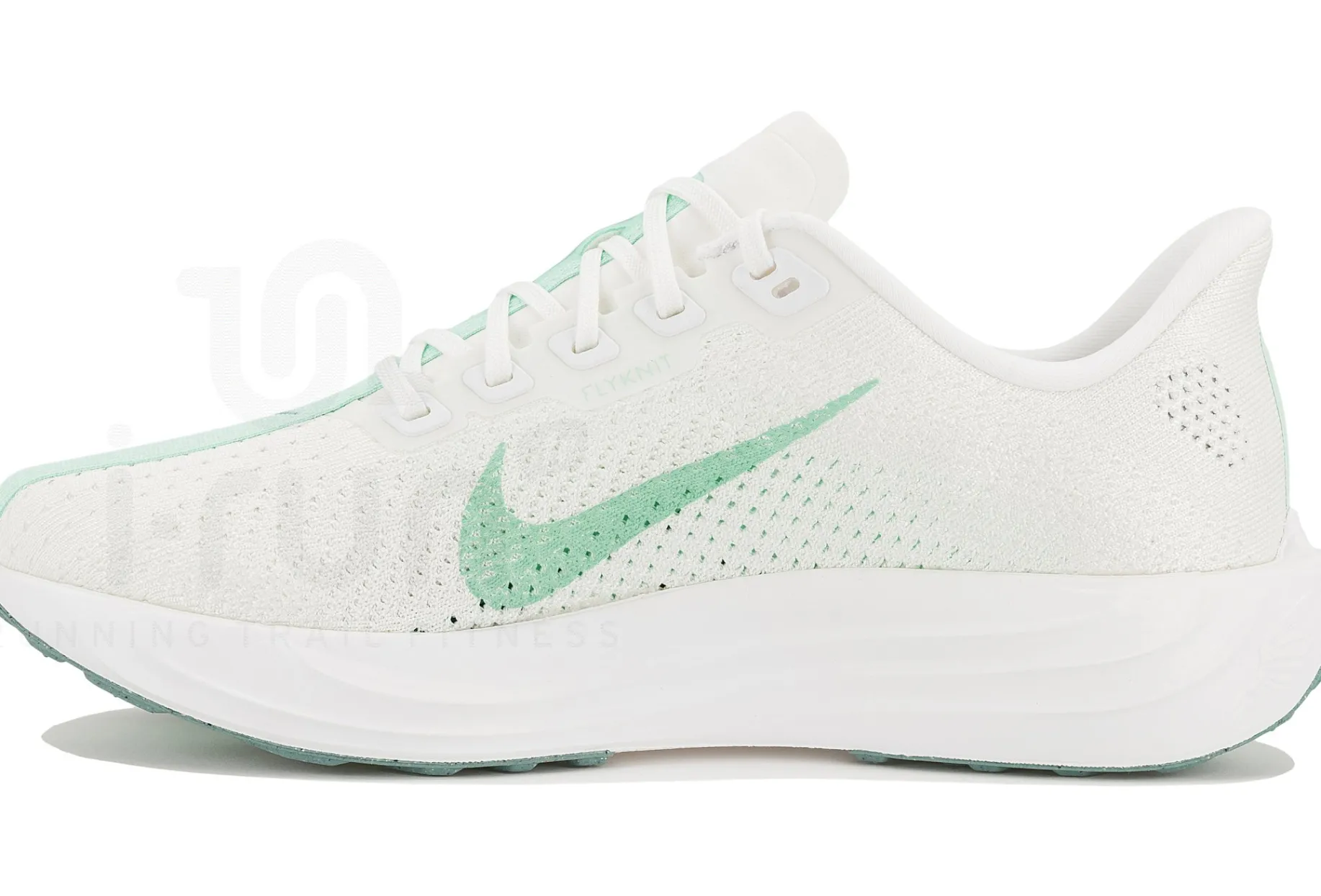 Nike Pegasus Plus