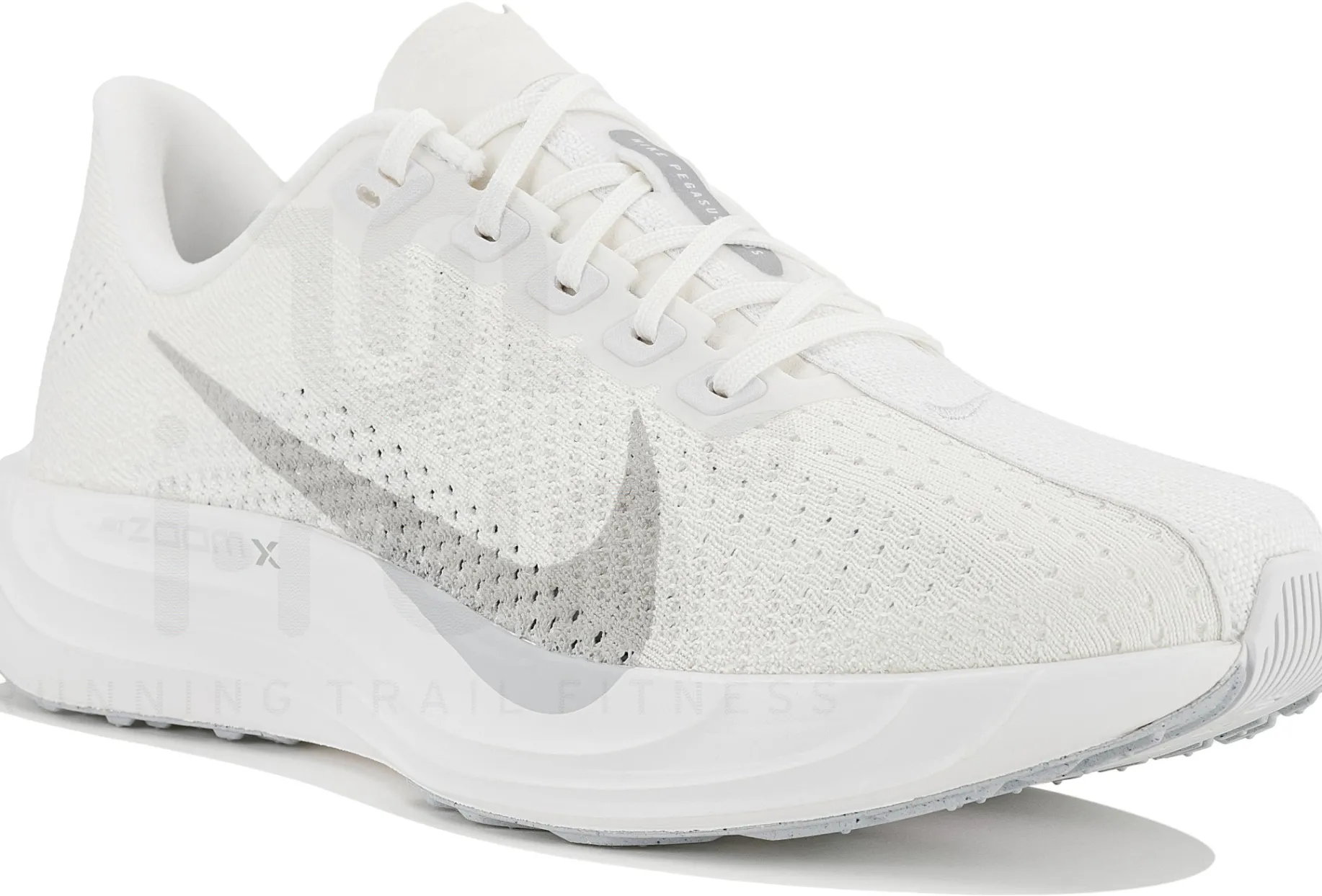 Nike Pegasus Plus