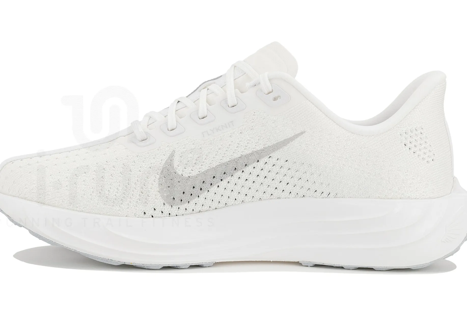 Nike Pegasus Plus