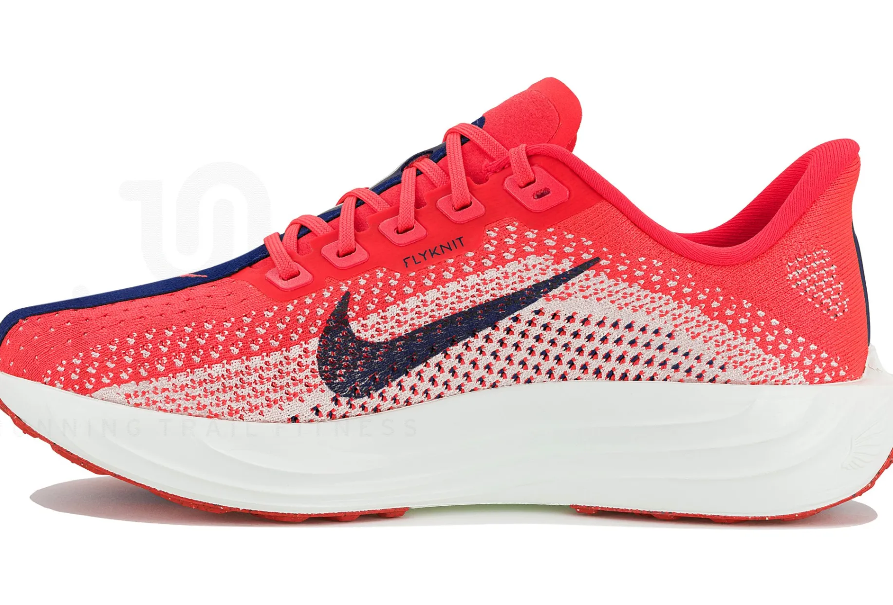Nike Pegasus Plus
