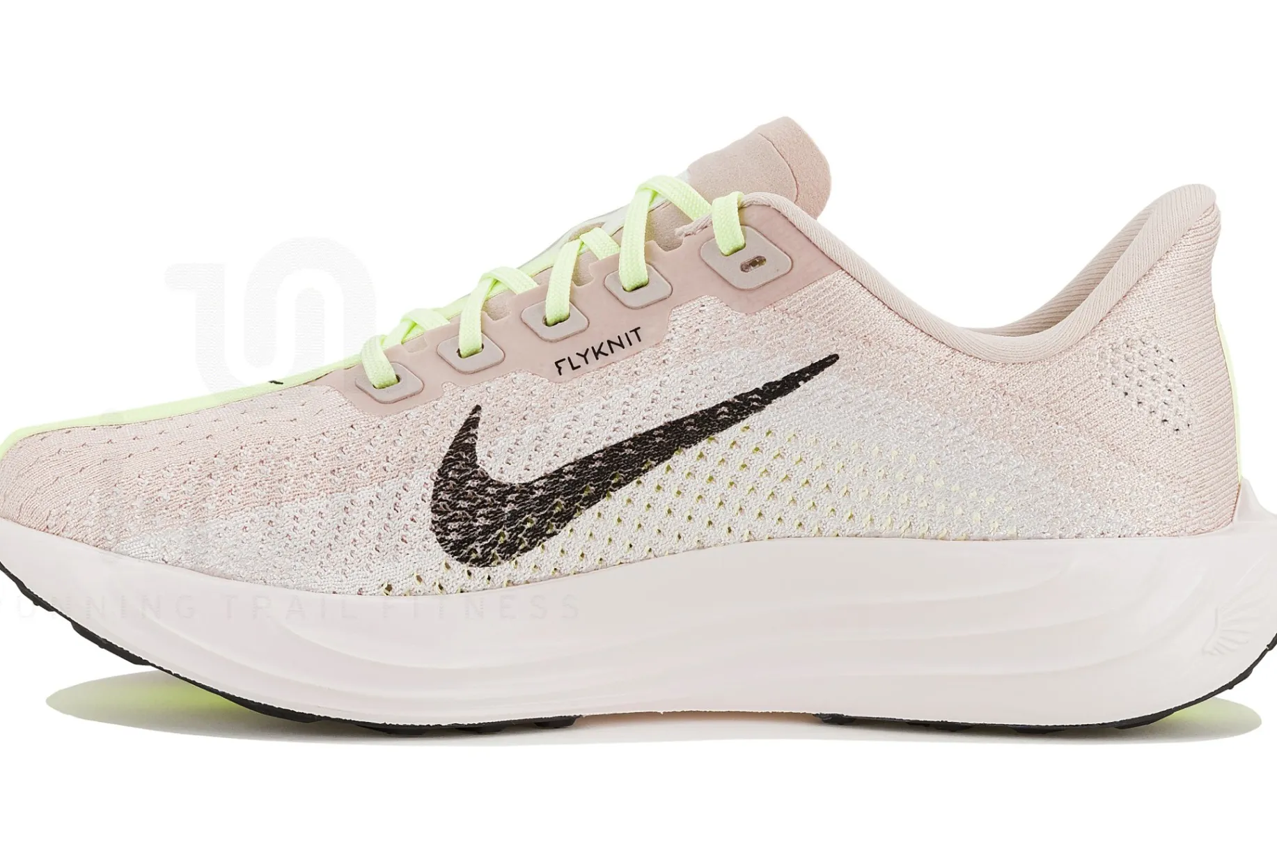Nike Pegasus Plus