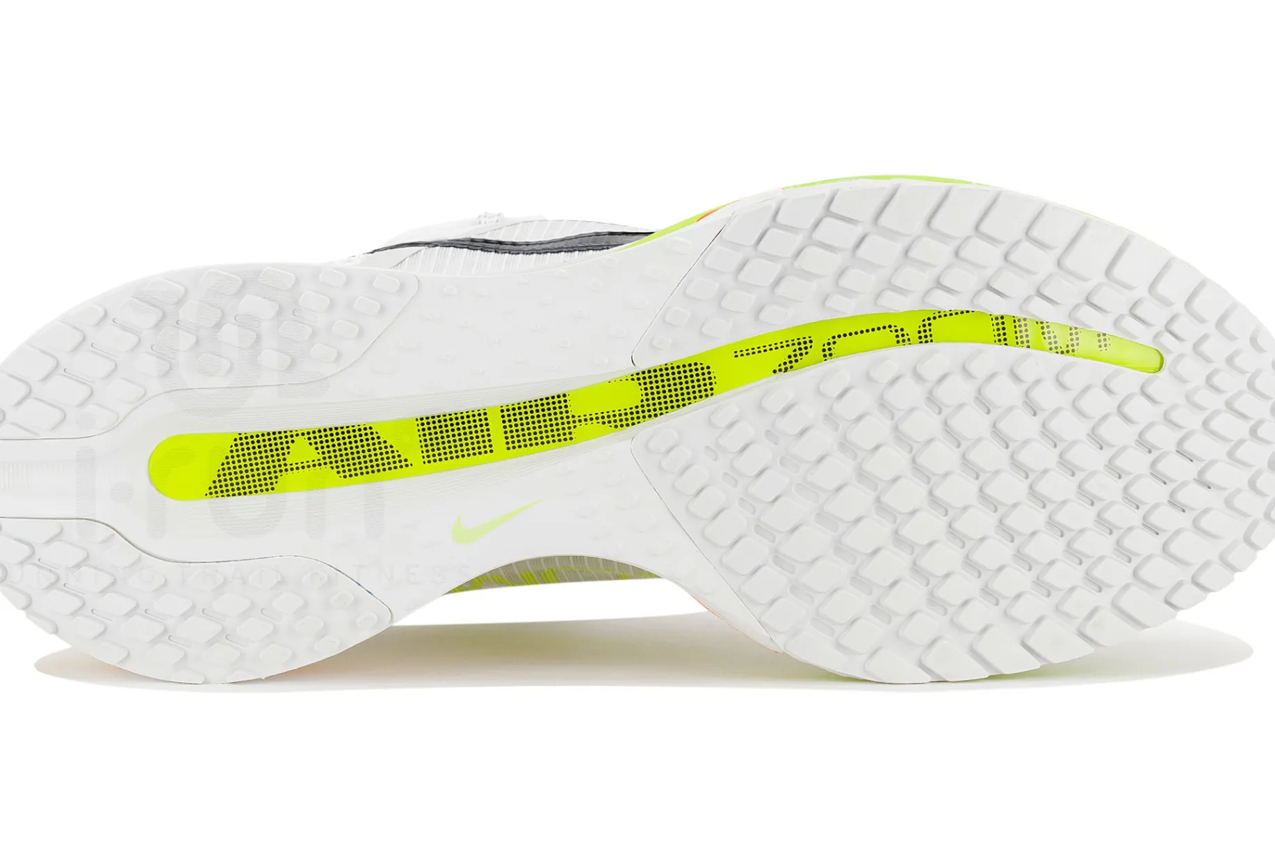 Nike Pegasus Premium