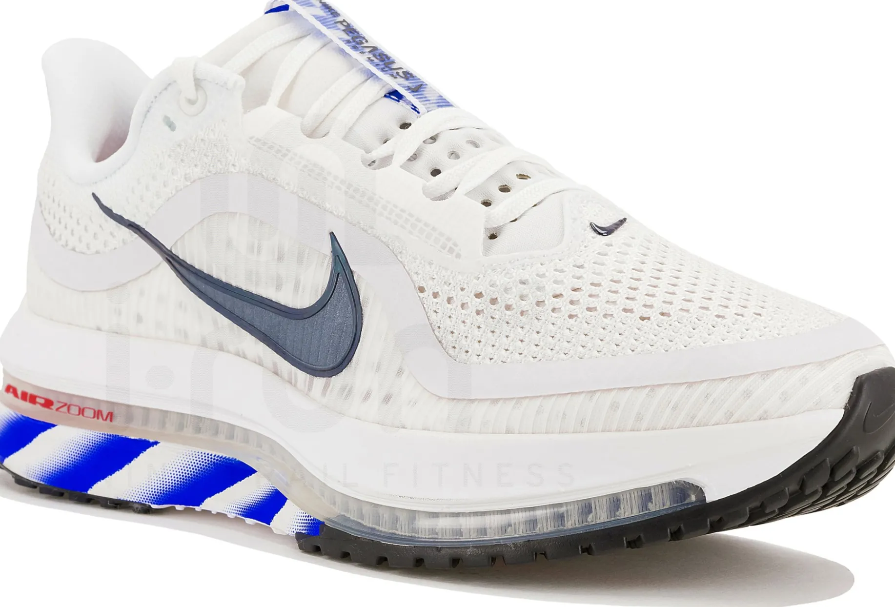 Nike Pegasus Premium