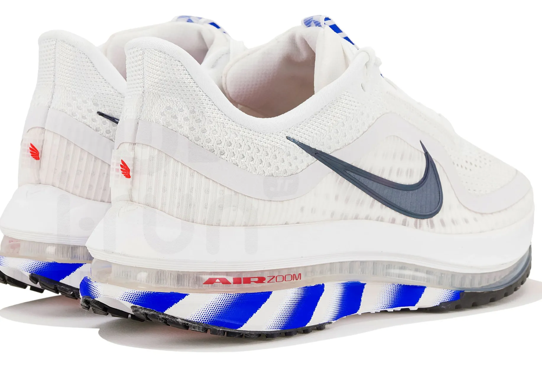 Nike Pegasus Premium