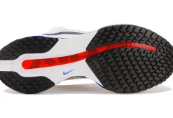 Nike Pegasus Premium