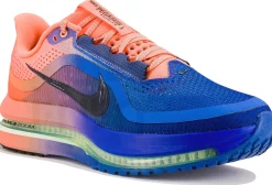 Nike Pegasus Premium