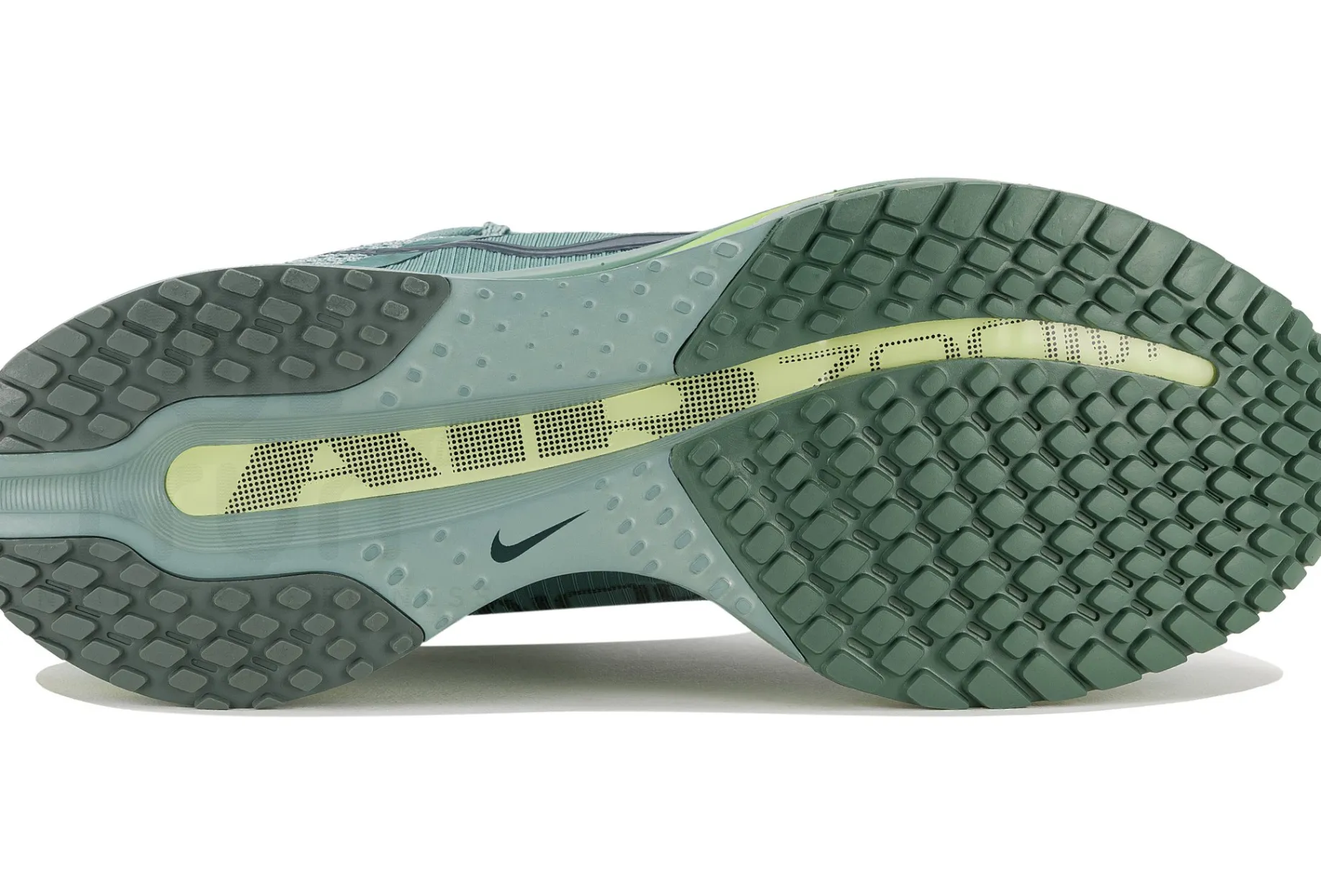 Nike Pegasus Premium