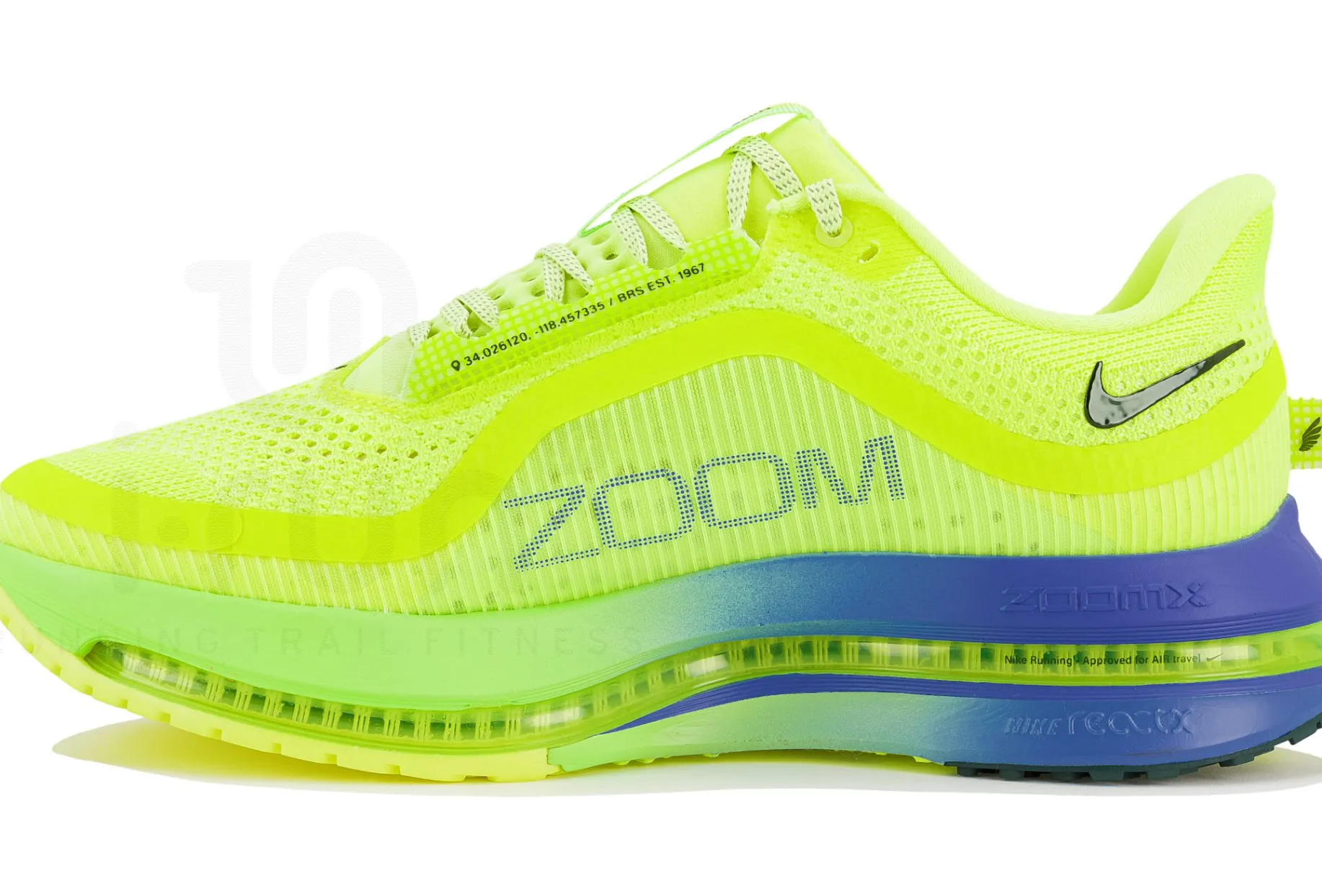 Nike Pegasus Premium