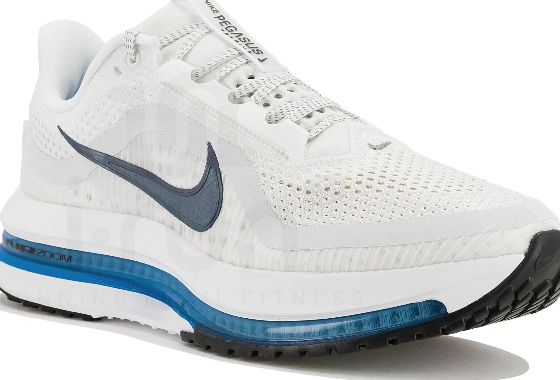Nike Pegasus Premium