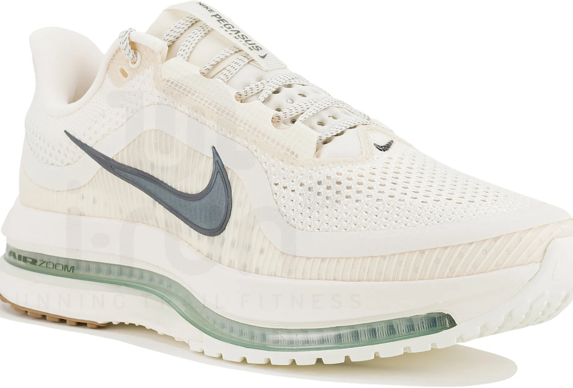 Nike Pegasus Premium