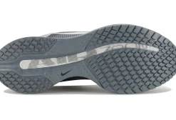 Nike Pegasus Premium