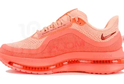 Nike Pegasus Premium