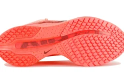Nike Pegasus Premium