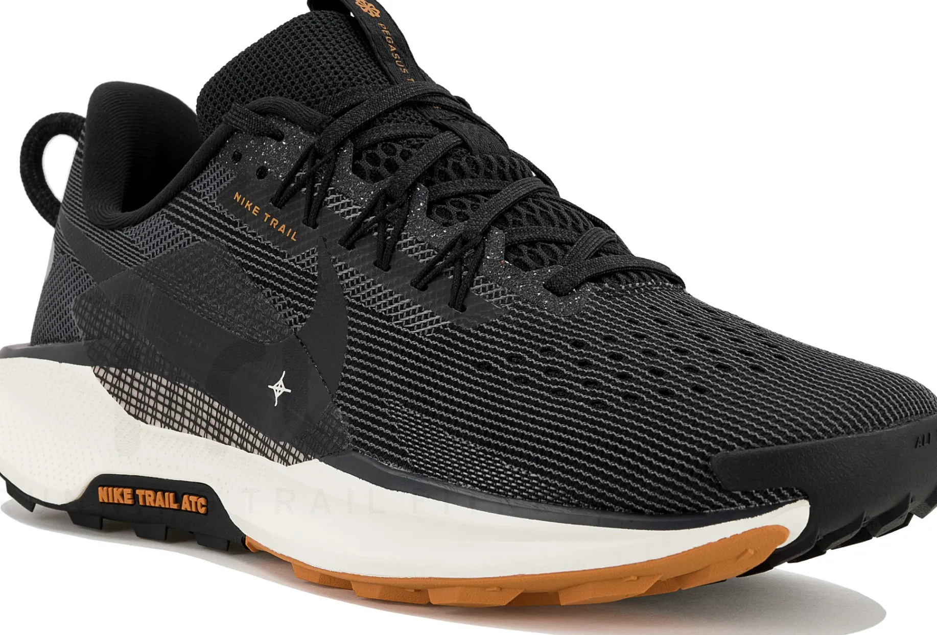 Nike Pegasus Trail 5