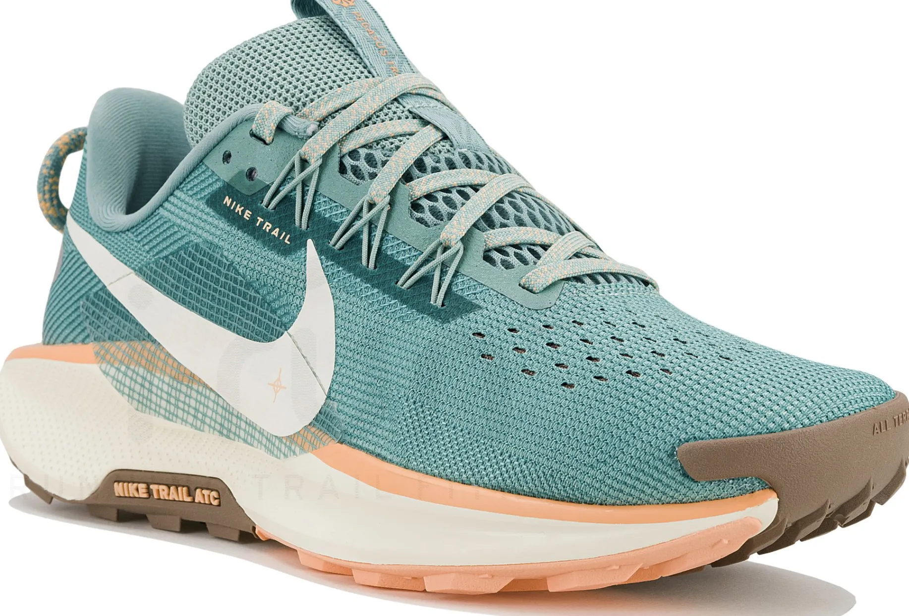 Nike Pegasus Trail 5