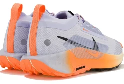 Nike Pegasus Trail 5 Gore-Tex
