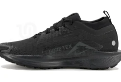 Nike Pegasus Trail 5 Gore-Tex