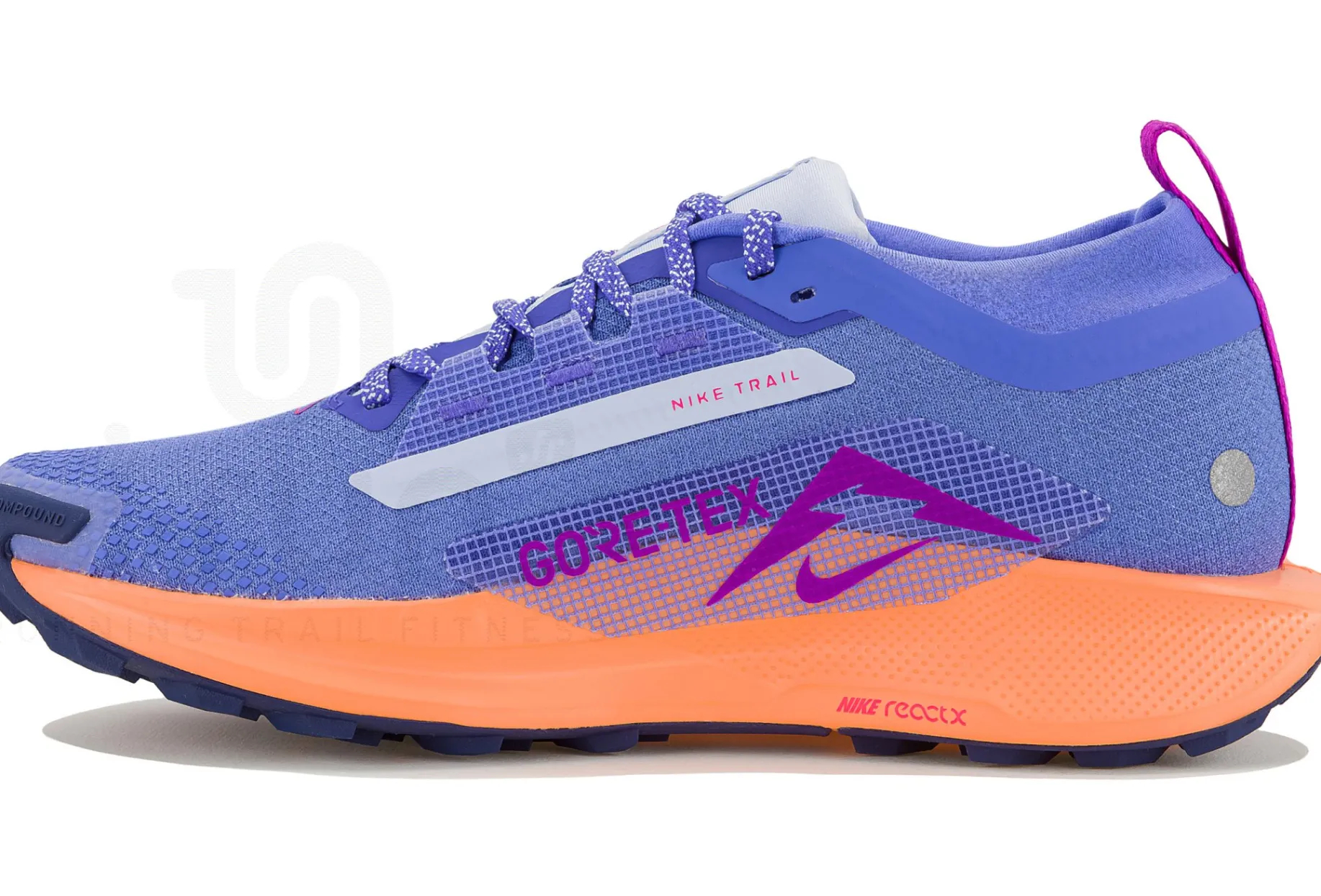 Nike Pegasus Trail 5 Gore-Tex