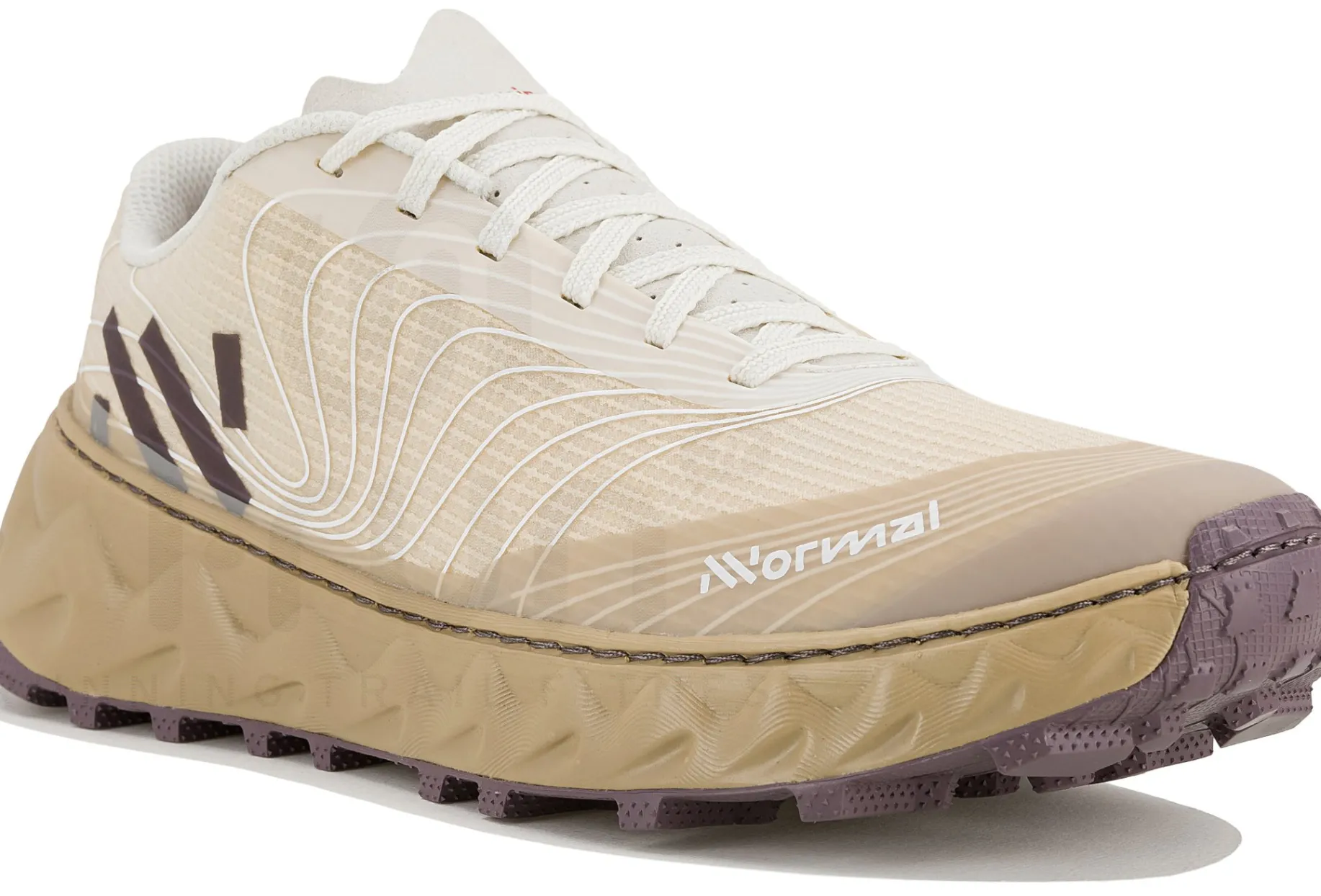 NNormal Tomir 02