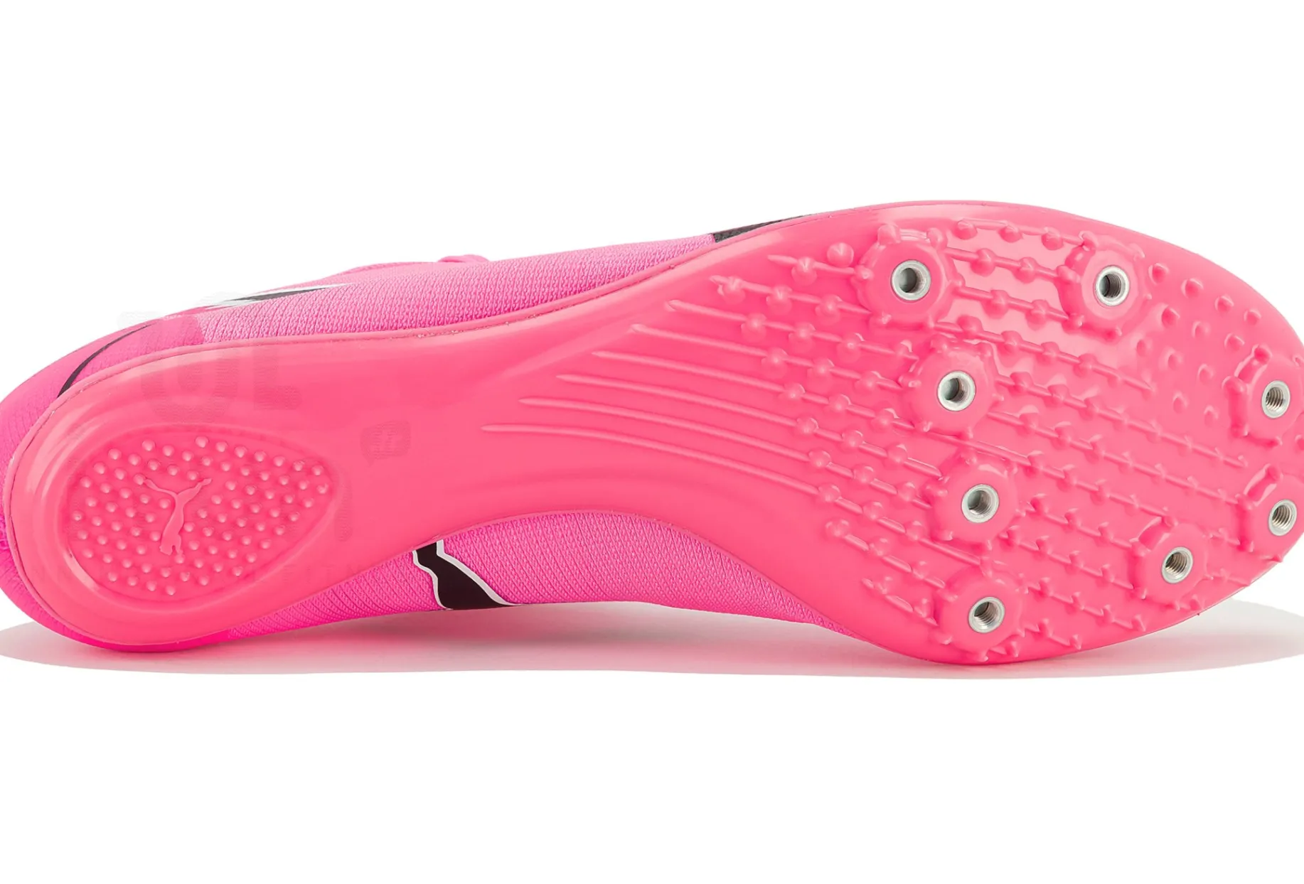 Puma evoSPEED Brush 7
