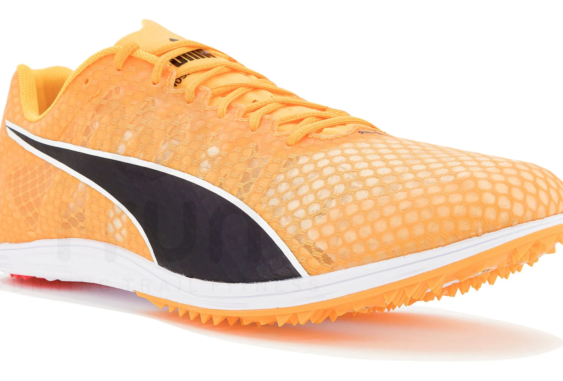 Puma evoSPEED Distance 11