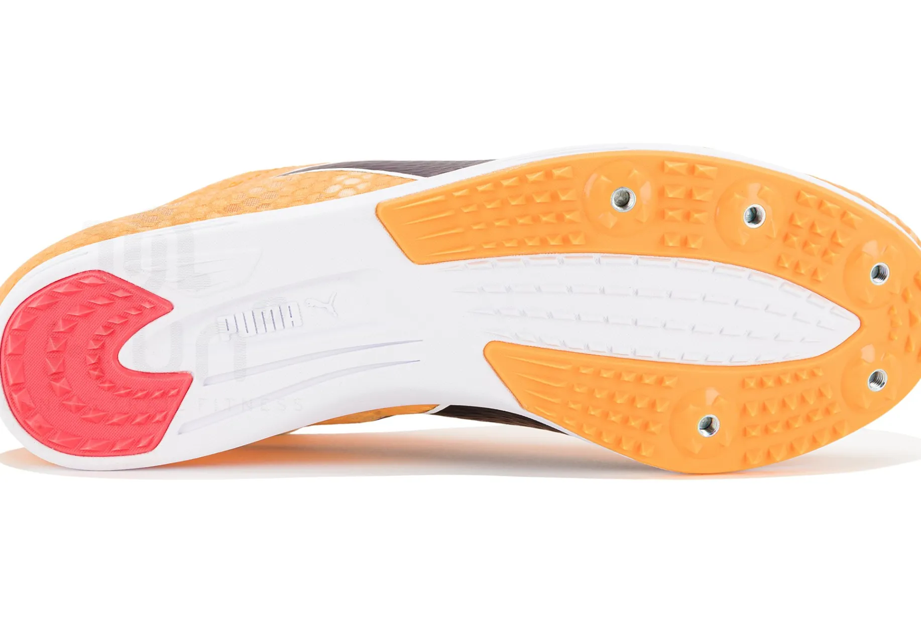 Puma evoSPEED Distance 11